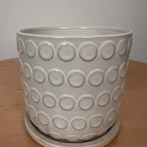 Dotty