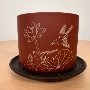 Terracotta